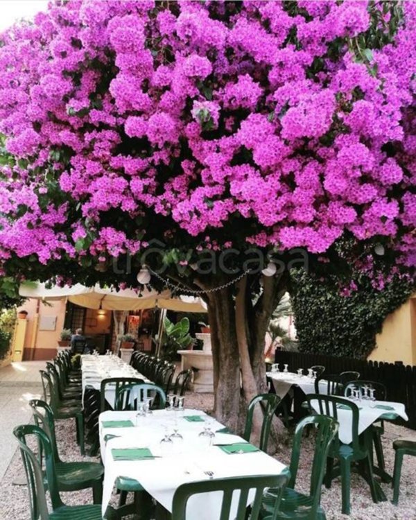 negozio in vendita a Ladispoli