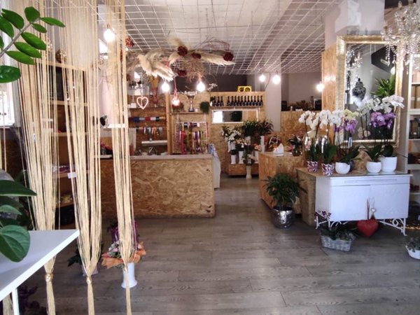 negozio in vendita a Ladispoli