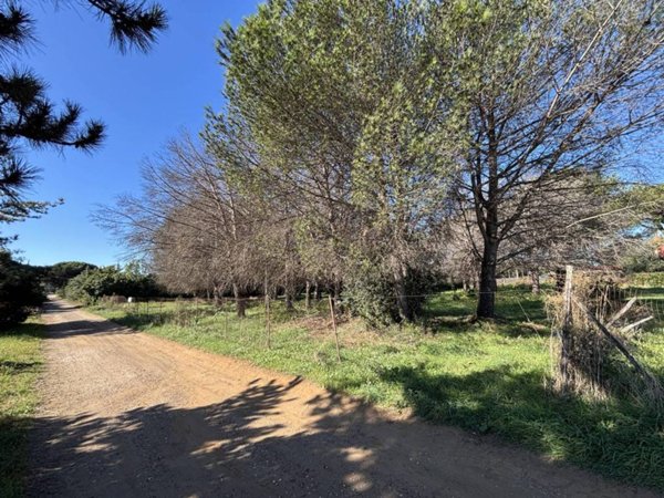 terreno agricolo in vendita a Ladispoli in zona Monteroni