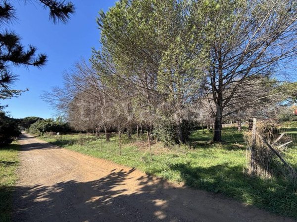 terreno agricolo in vendita a Ladispoli in zona Monteroni