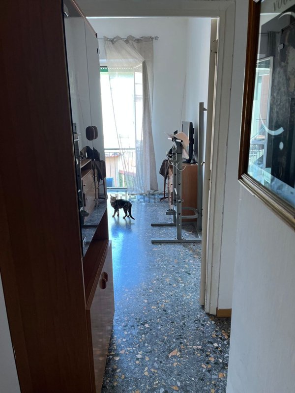 appartamento in vendita a Ladispoli