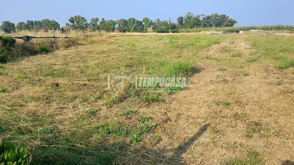 terreno agricolo in vendita a Ladispoli in zona Marina di San Nicola