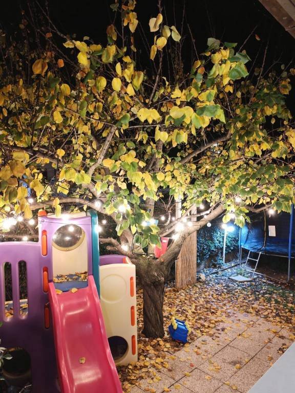 casa indipendente in vendita a Ladispoli in zona Marina di San Nicola