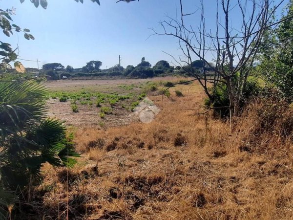 casa indipendente in vendita a Ladispoli in zona Monteroni