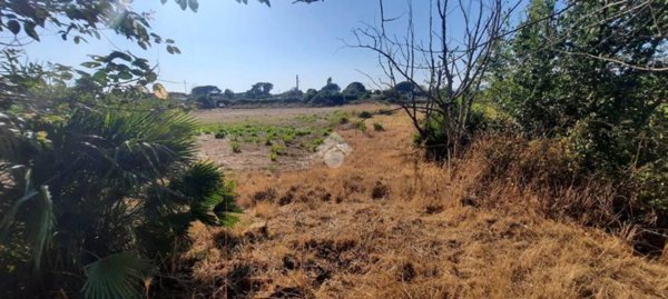 casa indipendente in vendita a Ladispoli