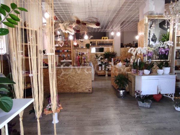 negozio in vendita a Ladispoli