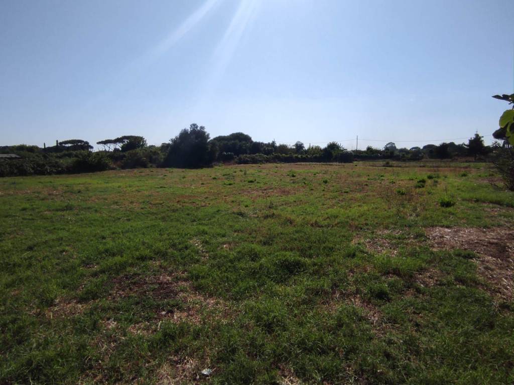 terreno agricolo in vendita a Ladispoli in zona Monteroni