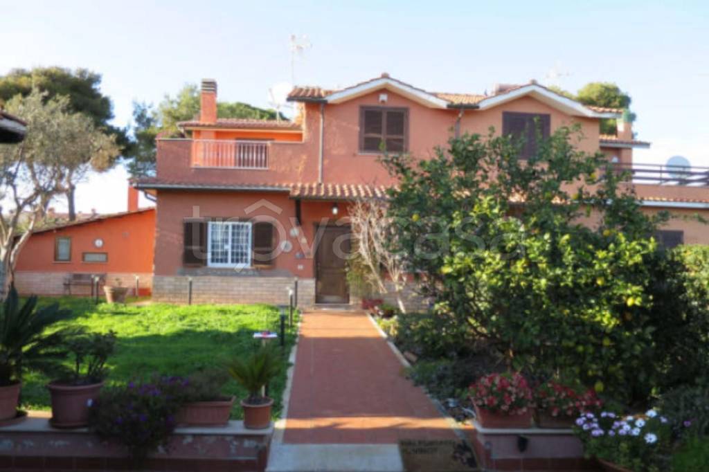 casa indipendente in vendita a Ladispoli in zona Marina di San Nicola