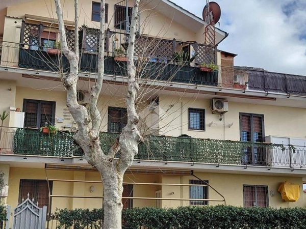 appartamento in vendita a Ladispoli