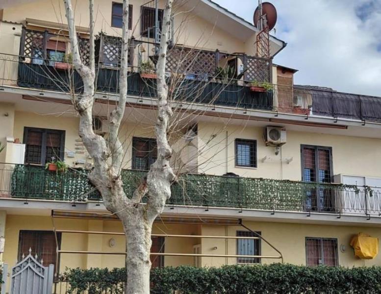 appartamento in vendita a Ladispoli
