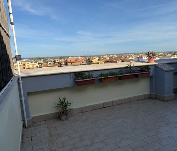 appartamento in vendita a Ladispoli