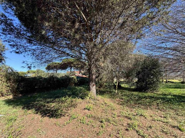 terreno edificabile in vendita a Ladispoli in zona Monteroni