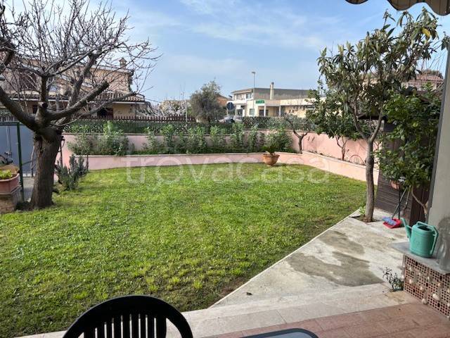 casa indipendente in vendita a Ladispoli