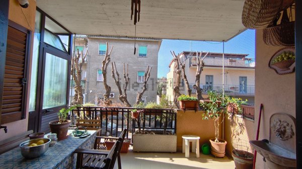 appartamento in vendita a Ladispoli