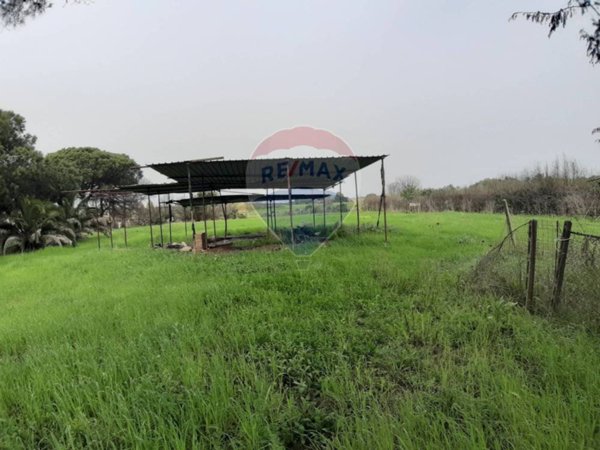 casa indipendente in vendita a Ladispoli in zona Monteroni