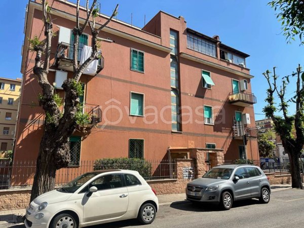 appartamento in vendita a Ladispoli