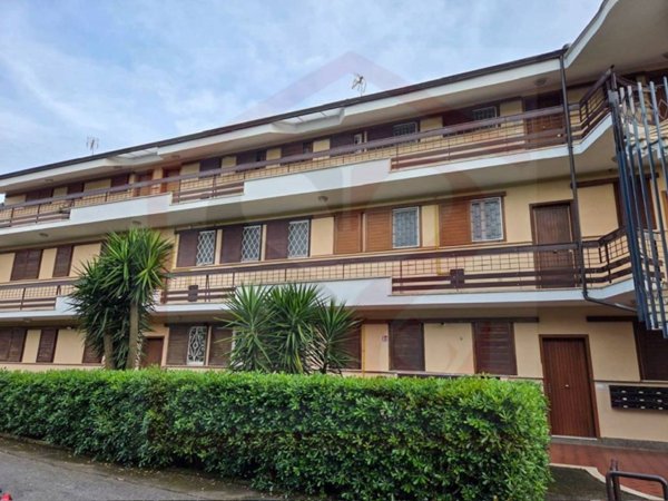 appartamento in vendita a Ladispoli