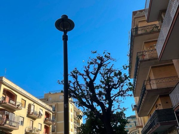 negozio in vendita a Ladispoli