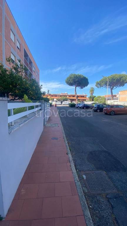 appartamento in vendita a Ladispoli