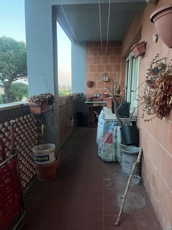 appartamento in vendita a Ladispoli