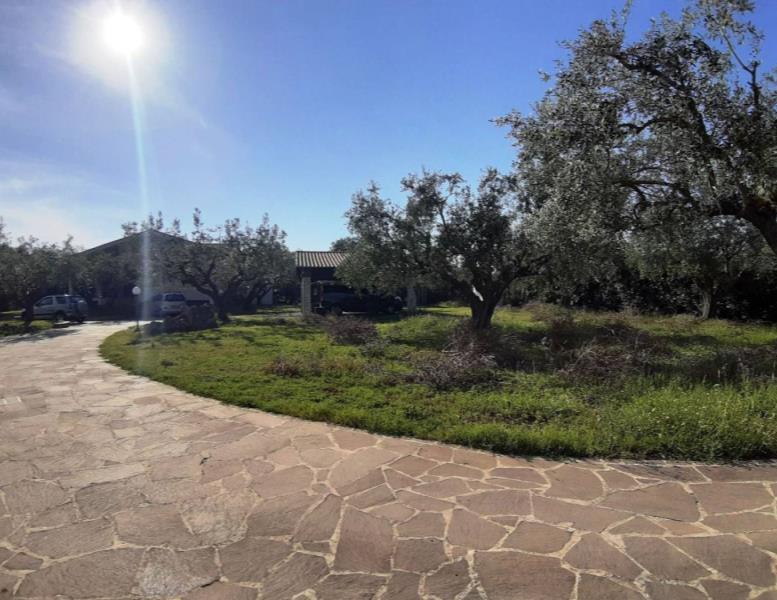 casa indipendente in vendita a Ladispoli in zona Monteroni