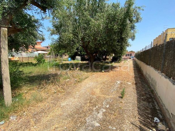 terreno agricolo in vendita a Ladispoli