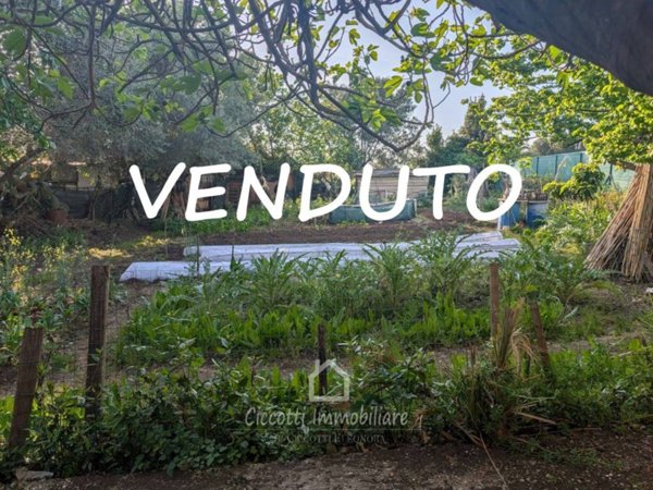 terreno agricolo in vendita a Ladispoli