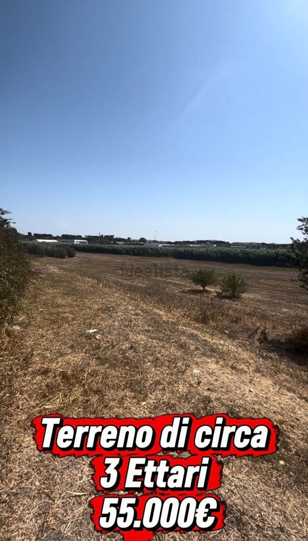 terreno in vendita a Ladispoli