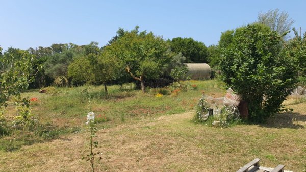 terreno in vendita a Ladispoli in zona Monteroni