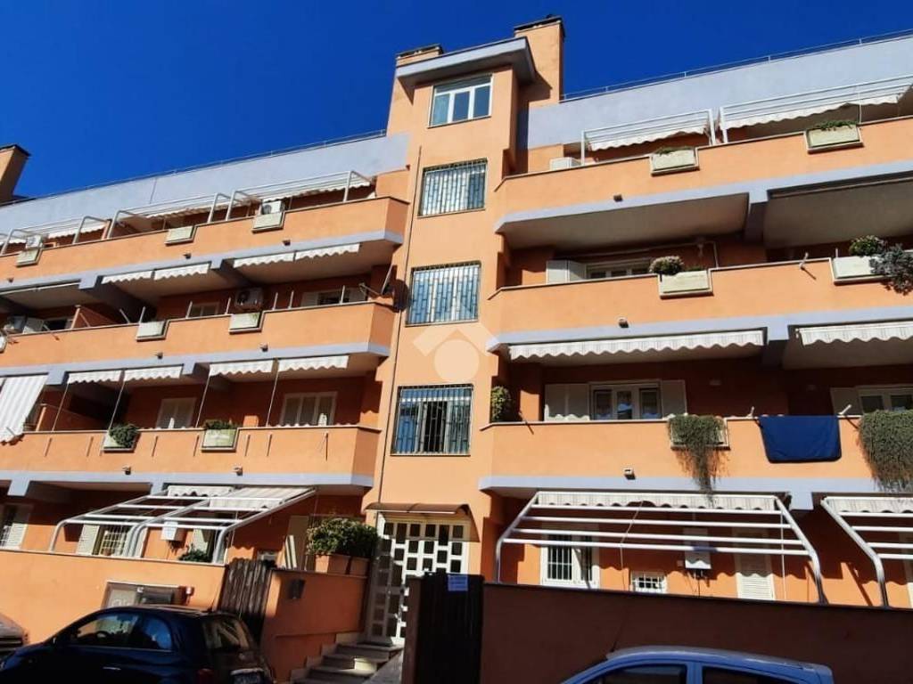 box auto in vendita a Ladispoli