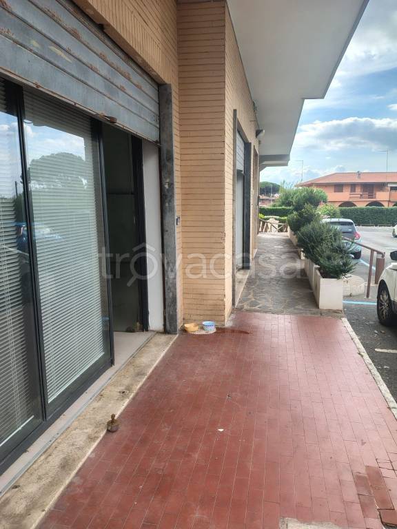 casa indipendente in vendita a Ladispoli in zona Marina di San Nicola
