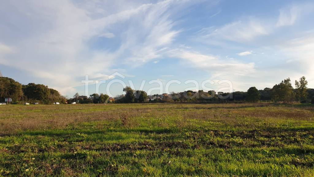 terreno agricolo in vendita ad Ardea in zona Castagnetta