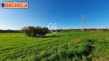 terreno agricolo in vendita ad Ardea in zona Castagnetta