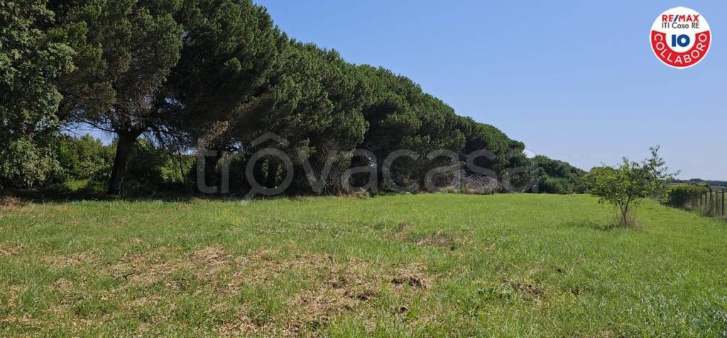 terreno agricolo in vendita ad Ardea in zona Marina di Ardea