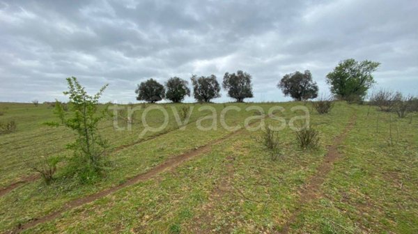 terreno agricolo in vendita ad Ardea in zona Castagnetta