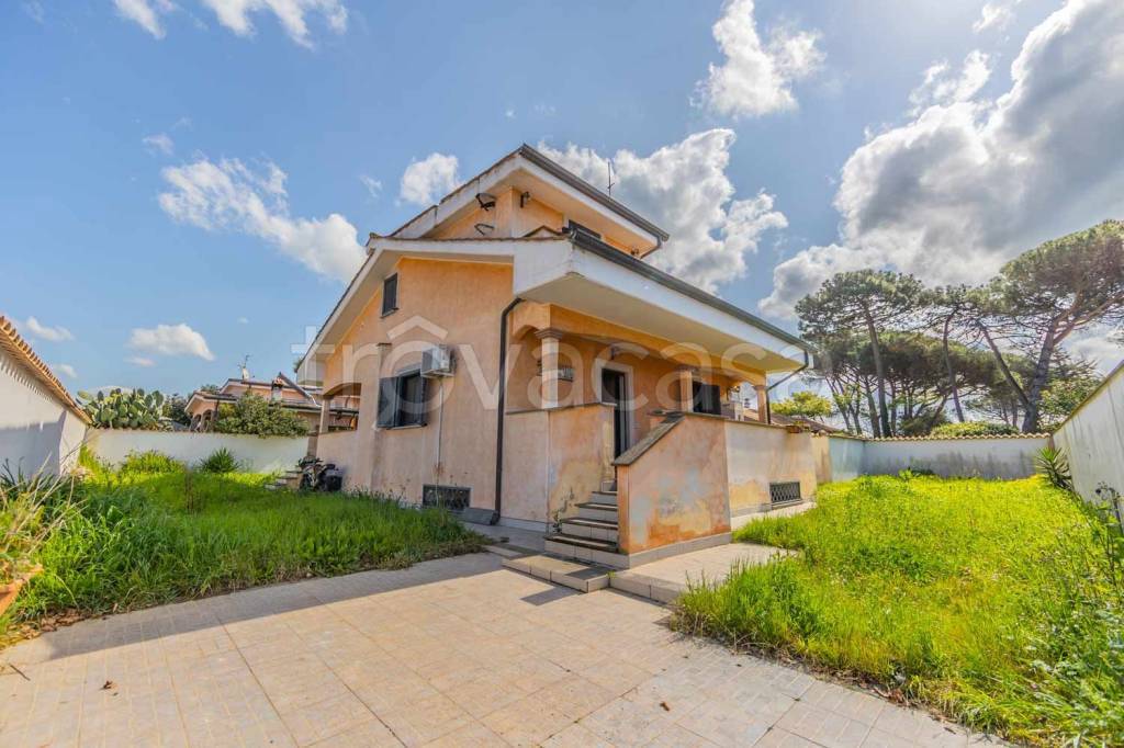 casa indipendente in vendita ad Ardea in zona Nuova Florida