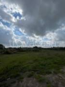 terreno agricolo in vendita ad Ardea in zona Montagnano