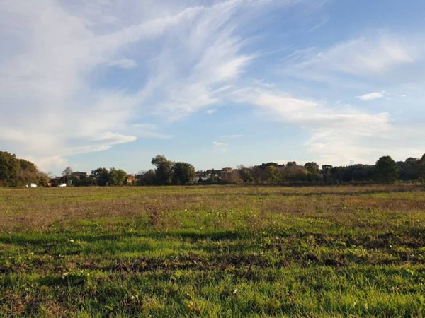 terreno agricolo in vendita ad Ardea in zona Castagnetta