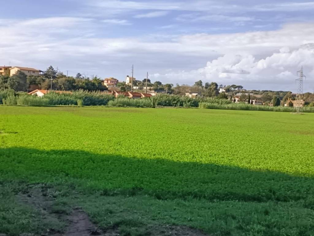 terreno agricolo in vendita ad Ardea in zona Montagnano