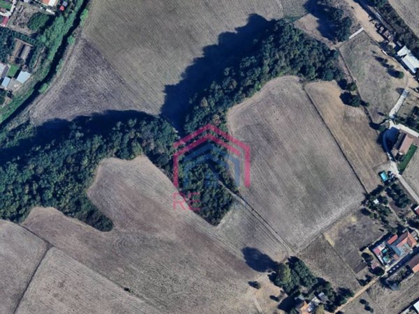 terreno agricolo in vendita ad Ardea in zona Castagnetta