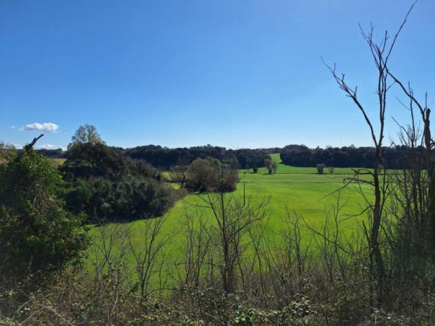 terreno agricolo in vendita ad Ardea