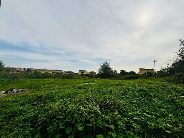 terreno agricolo in vendita ad Ardea in zona Banditella