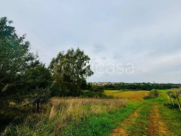 terreno agricolo in vendita ad Ardea in zona Castagnetta