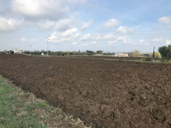 terreno agricolo in vendita ad Ardea in zona Castagnetta
