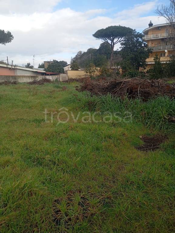 terreno agricolo in vendita ad Ardea in zona Banditella