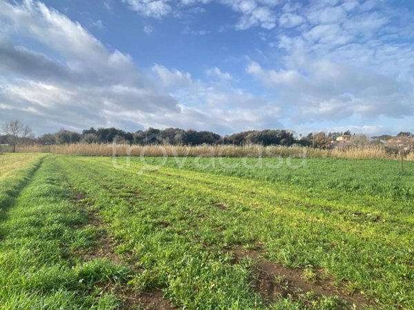 terreno agricolo in vendita ad Ardea in zona Castagnetta