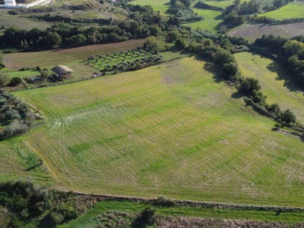 terreno agricolo in vendita ad Ardea in zona Montagnano
