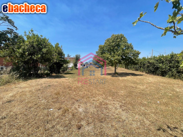 casa indipendente in vendita ad Ardea in zona Banditella