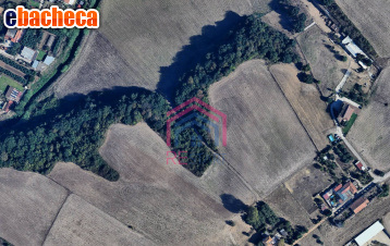 terreno agricolo in vendita ad Ardea