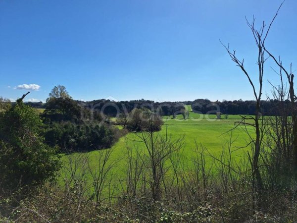 terreno agricolo in vendita ad Ardea in zona Castagnetta